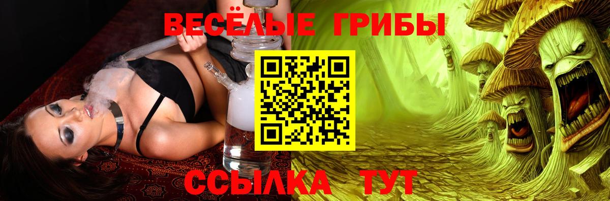 Галлюциногенные грибы мухоморы  Вход с VPN  где продают   Златоуст 