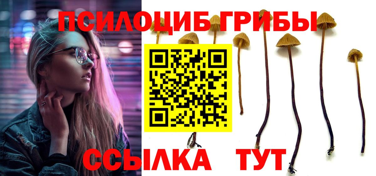Псилоцибиновые грибы Psilocybe Златоуст